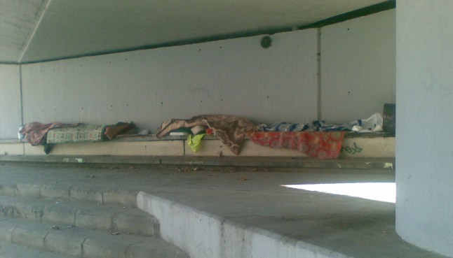 Debajo del puente Imagen104